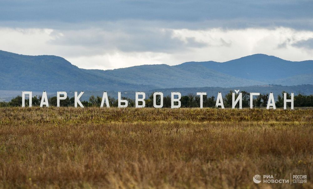 �������� �� ��������� ������� � ����������� ������� �������� � ����