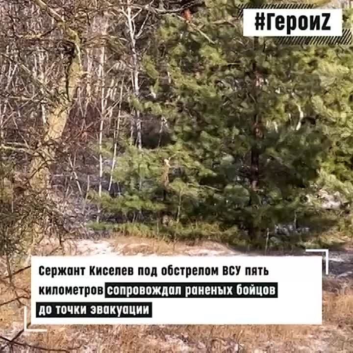 ������� ���� ����������