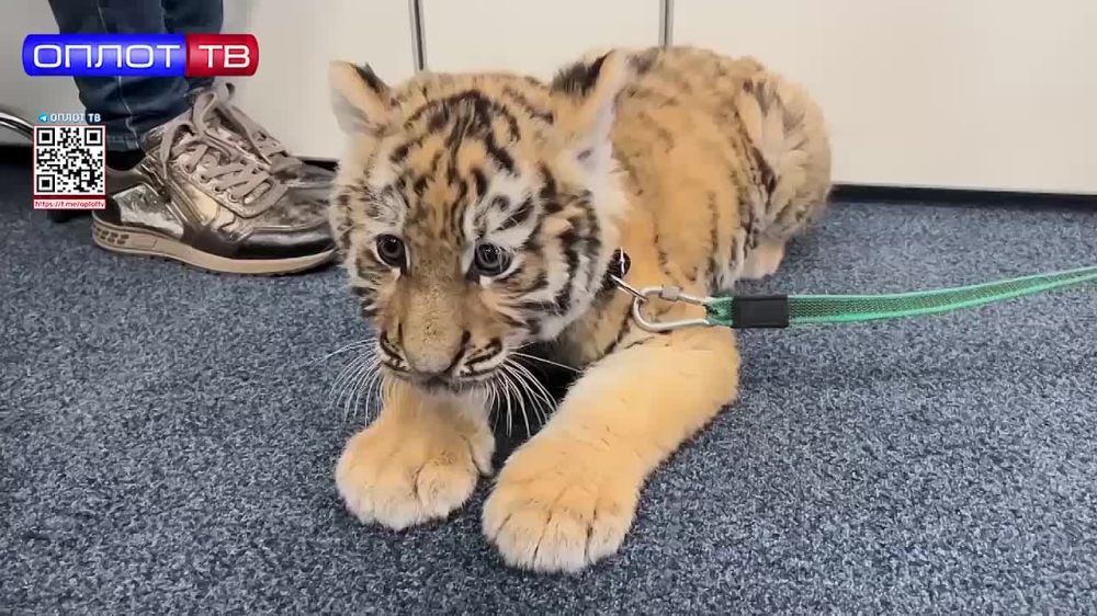 ������� �� ��������� ���� ����� �������� ����������� �����