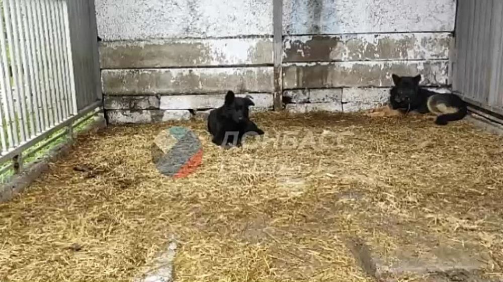 ������� ����� ��������� � ��������� ���� ��������� �����