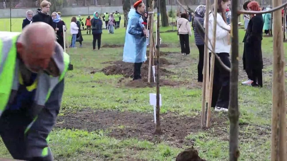 � ������ ������, ����������� � ������������� ������������� ��������, 29 ������ ���������� ������������� ������� ������� �������� � ����� �������� ���������� ���������