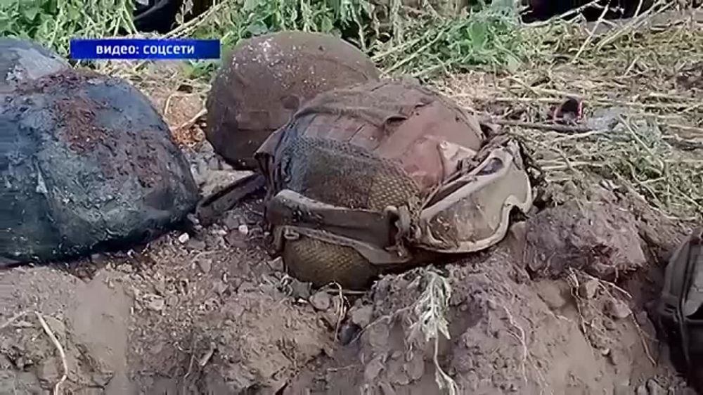 ����� ���������. ������ ���������� ����