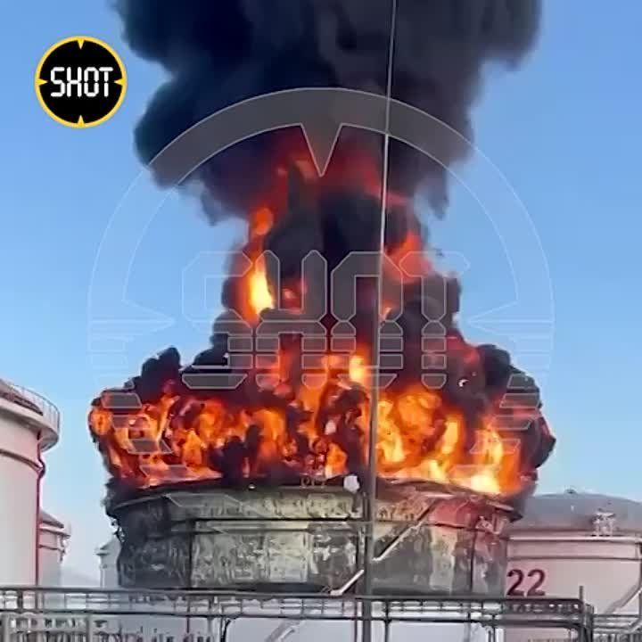�� ��������������� ������, ��������� � ������������� ���� ���� ��������� ����� ��������������, ����� Telegram-����� SHOT