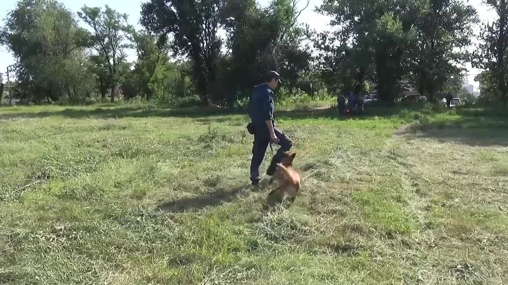 ������� � ������� #�����_��������_������ - ��������� ��������� ��������������� � ����������� �������������� ����� ���������������� ������������� ������ ��� ��� ����� ������