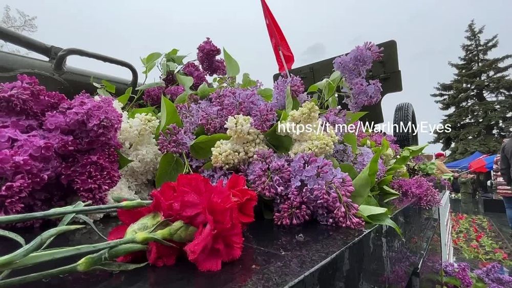 ����� �����: ���������. ���� ������. @WarInMyEyes