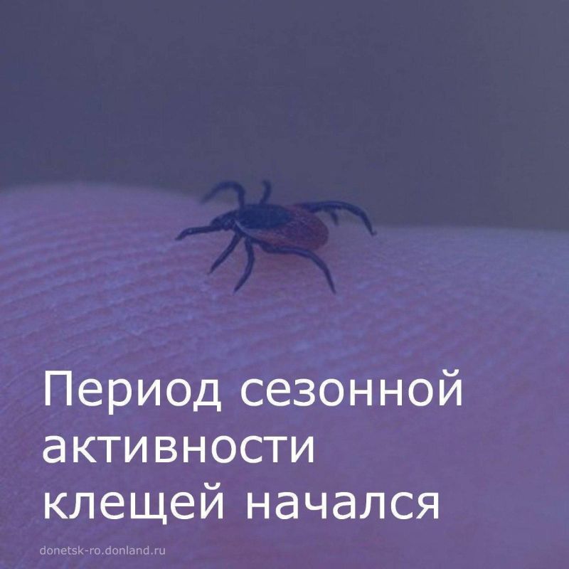 ������ �������� ���������� ������ ��� �������