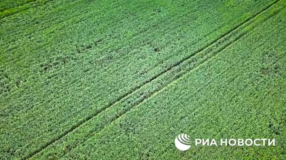 �������������� ������������� � ��� ����� ������ ��������� ���, ������ ��� ������� �.�. �������� �������� �������������, ������� ���������������� �������� � �������������� ����� ����������