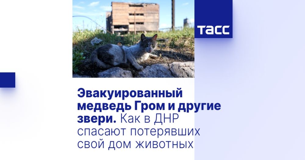 �������������� ������� ���� � ������ �����. ��� � ��� ������� ���������� ���� ��� ��������