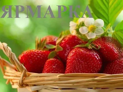 27 ��� 2023 ���� ������������ � ������ ������ ���������� �� ������������� ������� ��������� ���