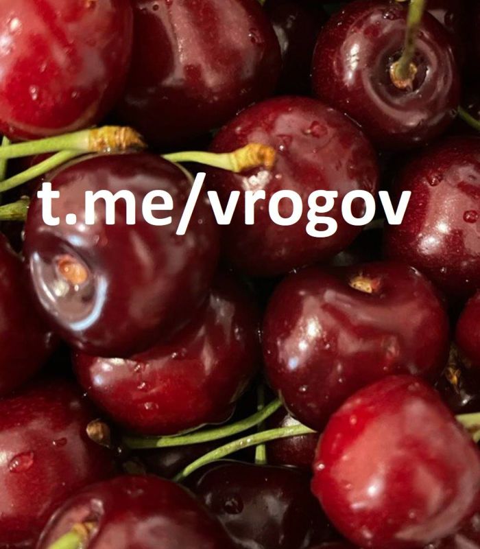 Владимир Рогов: Накормим черешней всю Россию!