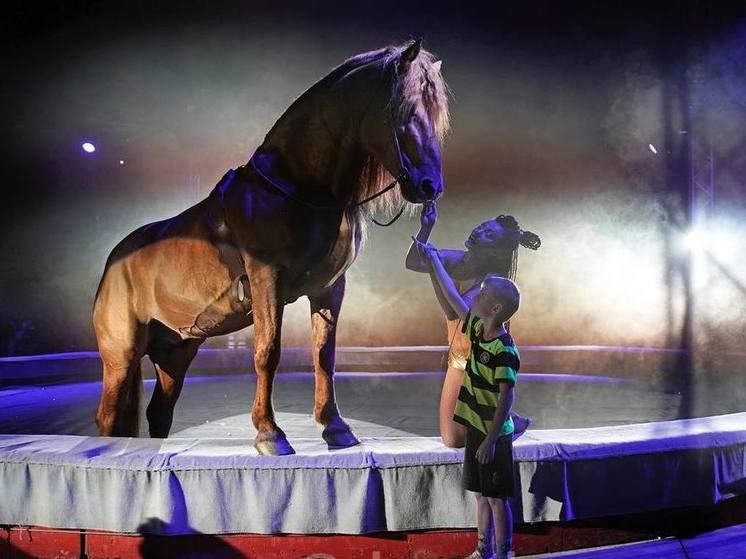 ���������� ���� �������� ������ �� ����������� � ��������� ����� �������� ��������