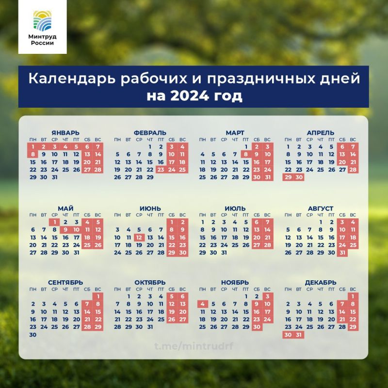 ������� ���������� ������ ������������� � �������� �������� ���� � 2024 ����
