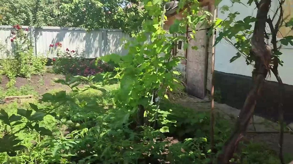 ���� ��������: ���������. ����.. #�������������