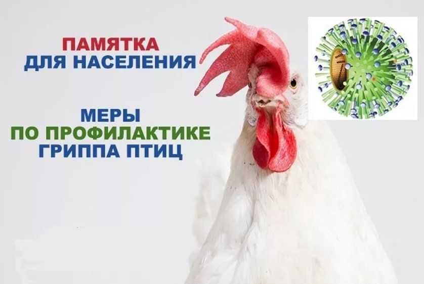 ������������ ���������� �� ��������� �������� ������
