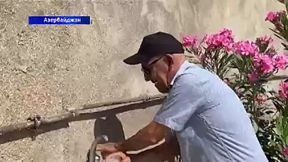 ������������� �������. 28.06.2023. ����� ������ ���� � ����� ���������� ��������, �������������� �� ���������� ���� ������ ����������: ���������
