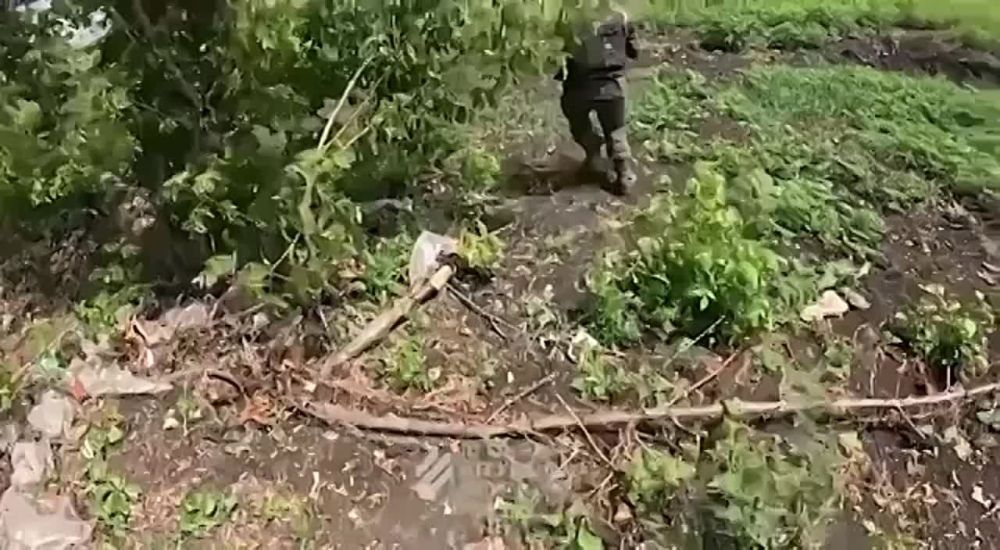 ������� �� 3-� ������� ��� ����������� ����������� �������� �������� ��������
