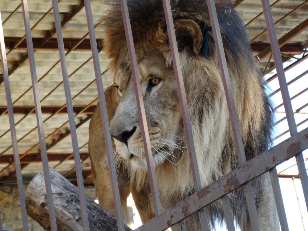 � ����� ���� �� �������������� �������� ���������� ����������