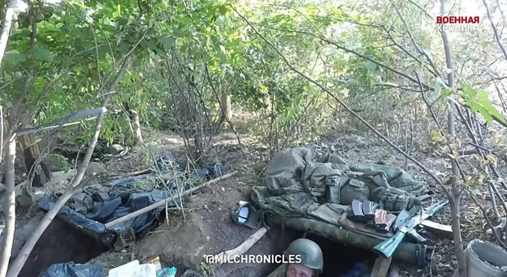 ����� �����: ��������� �� �������� ������ ��������