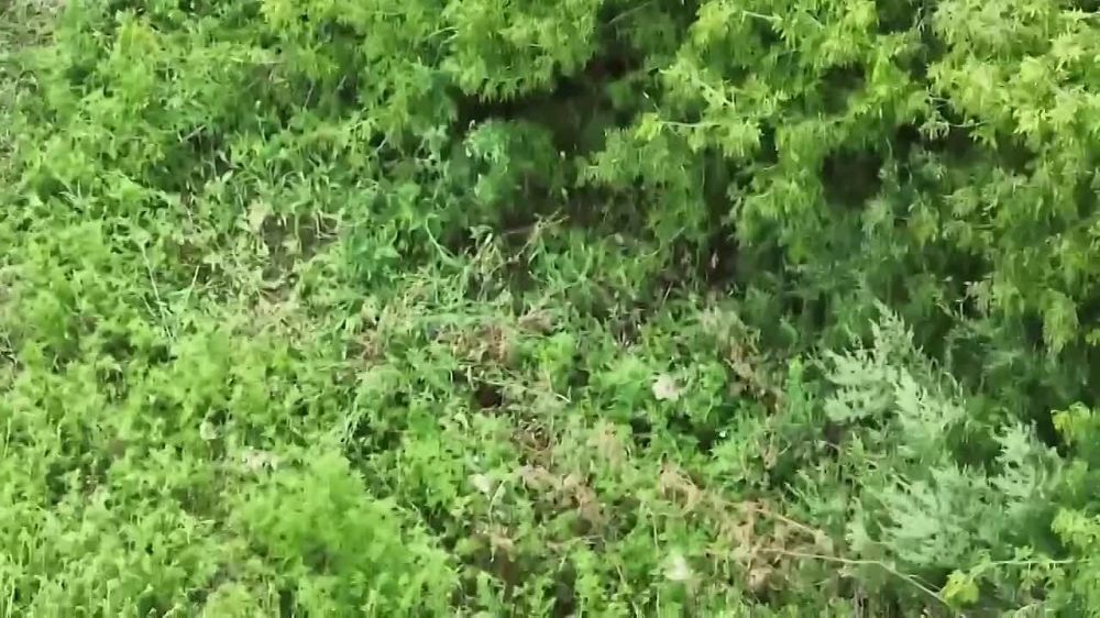 ���� ��������: �� ����, ������� �� �������� �� ��� ������������ ������� ���� ���������� �� ���, ���� � ������ �����������...