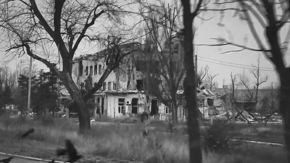 "��� ���": SHAMAN ���� ����� ���� � ���� ���