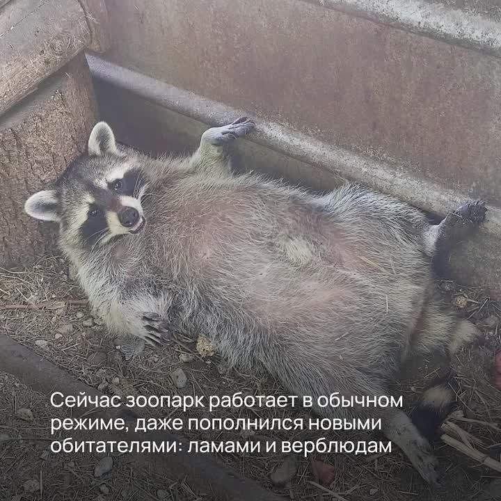 � ������� ���� ������������� ��������� ����� ������� ��� ��������� ������-��������� ���������