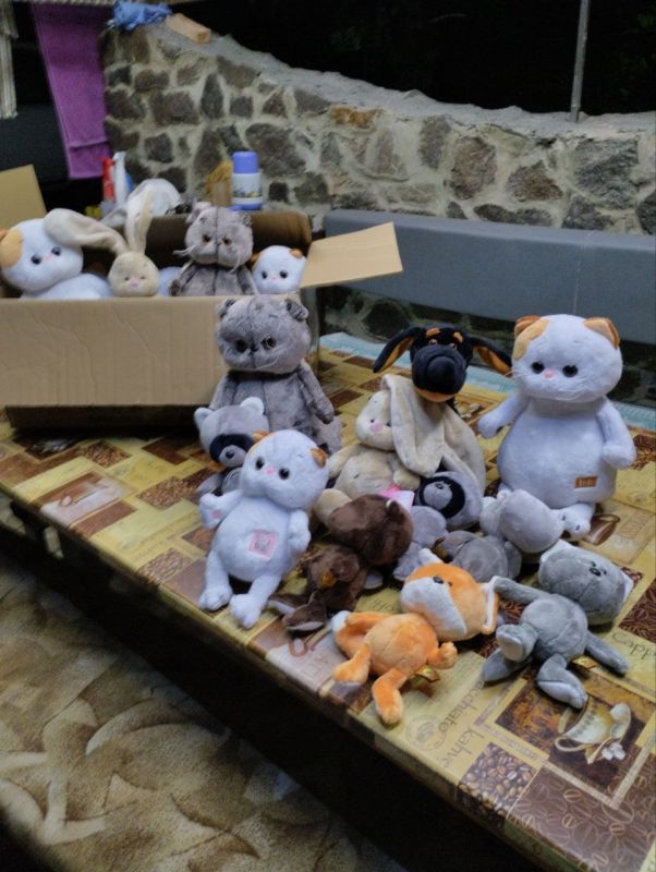 ��������� ������� ����������� ������ ������������ ����