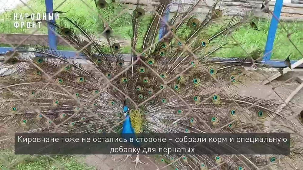 Зоопарк в Мариуполе получил помощь от жителей Кирова