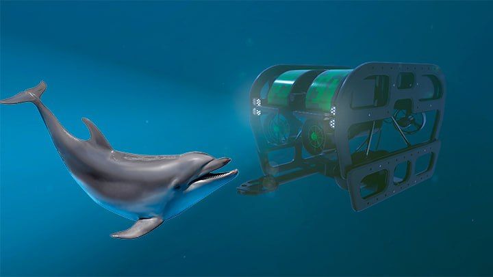 �������� ��������� ������ ���������: ��������� ������� ��� ���� �� ��������� �����