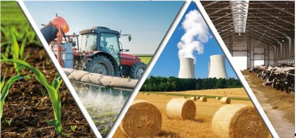 ������� �������: ���� ������� �������� ���������� ������� ����������