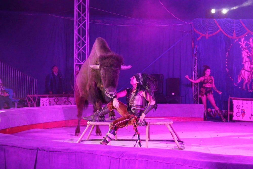 ������ ��� ������������ �����������-��-���� ��������������� ���� �������� �������� � ���������