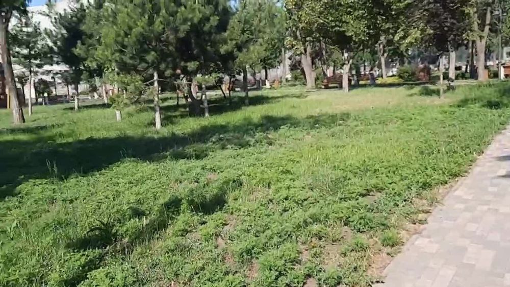 ����� �����: ��������������� ����������� ����� � ���������