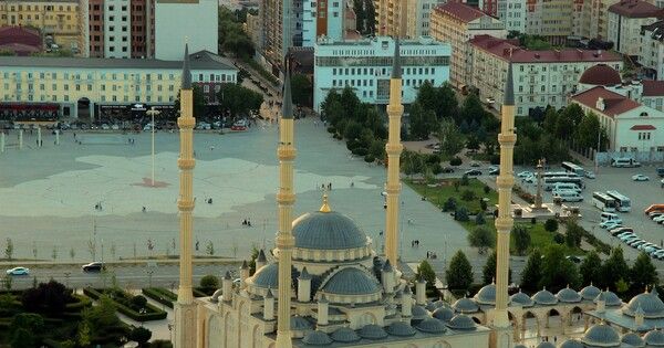 ��������� �������� ����� ��������-�����������