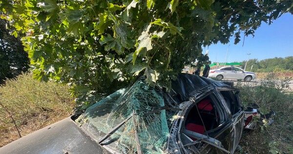В ДТП на трассе Донецк-Мариуполь пострадали двое детей