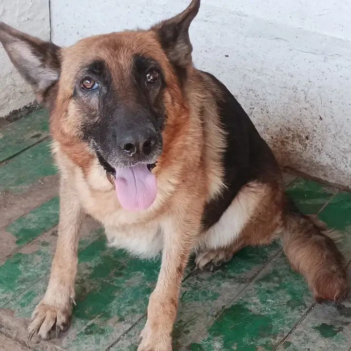 ������ . ���������!!!. ��������� �������������� � ������� ���� ��������� ������. (2 ������, 3 ����)