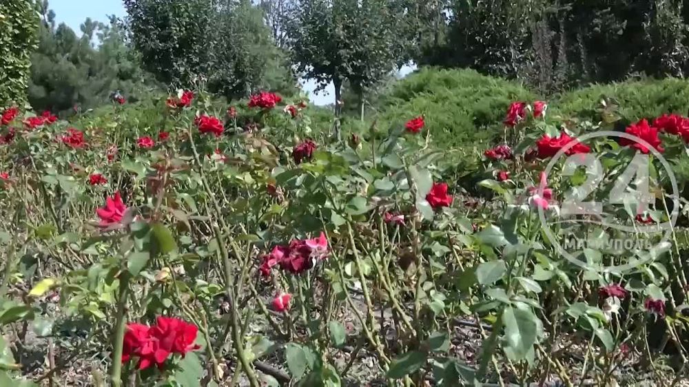 ��� ���������� �� ����� ������������ �������� ������ ���������? �������� ������