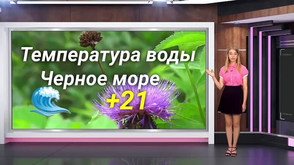 ������� ������ �� 12.09.2023