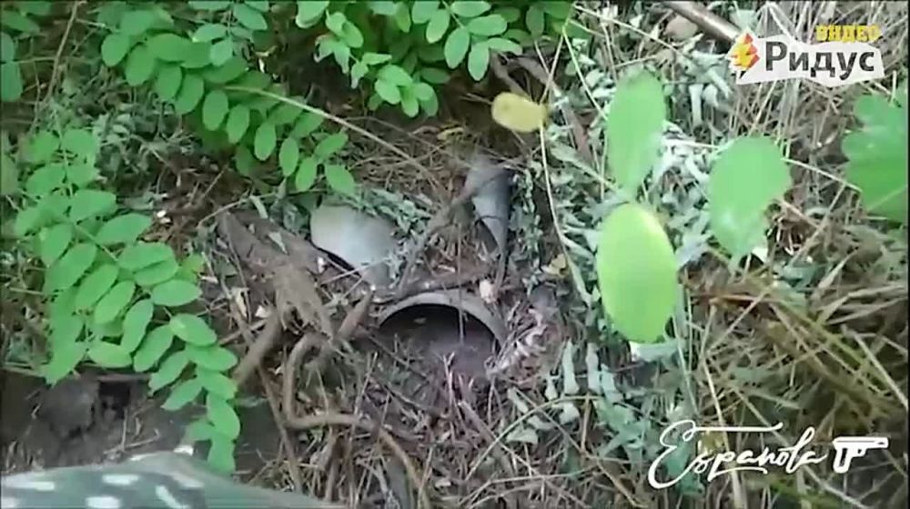 ������ ��������������� ������� �� �� ����������, ��������� �� ���������� �������, �������� ������� ����� �������������� ����� �����������, �������������� ����� ����������� ��������� ����������� � ���������