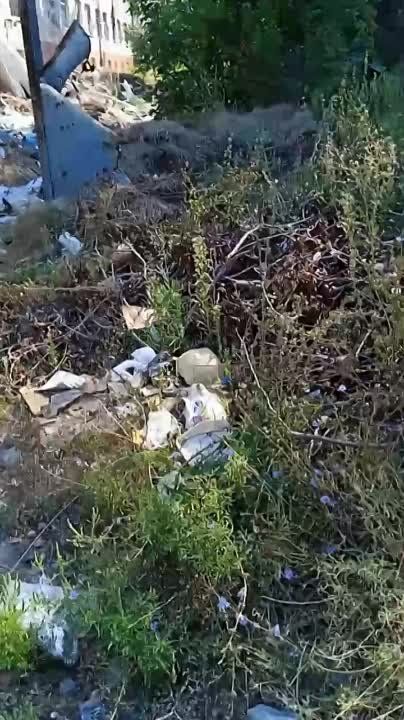 � ����� � �������� "���������-24" ���������� ���������� ������ ��������-������ �� ������ �������� ������ � ��������� �����