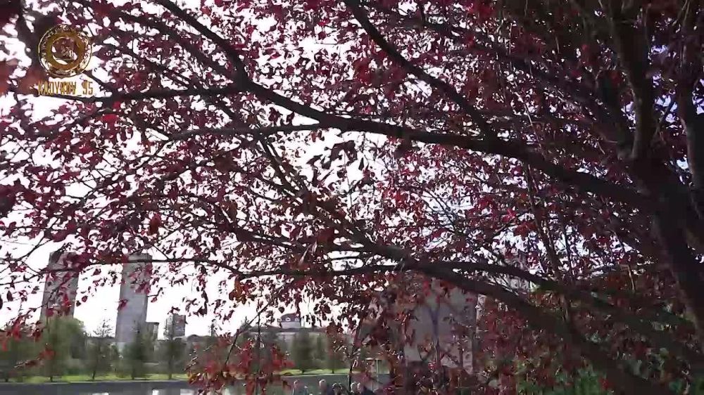 ������ �������: ���������� � ������������ �������� ���������� ��� ���������� ��������� �������-����������� ������� �������� �������