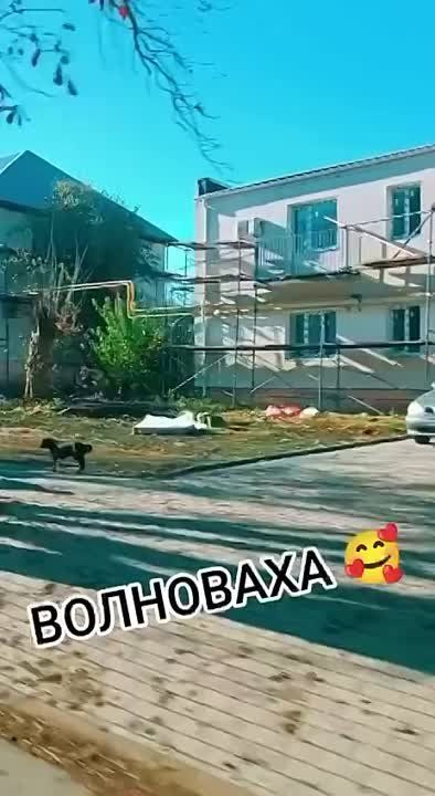 �������������� ������������� ������� ���� ����� ��������� ���� ������ �����, � ����� ��� �� �����������, ��� � ��������� ����� ����� ����� ��������� � ��������, ��� � ���������