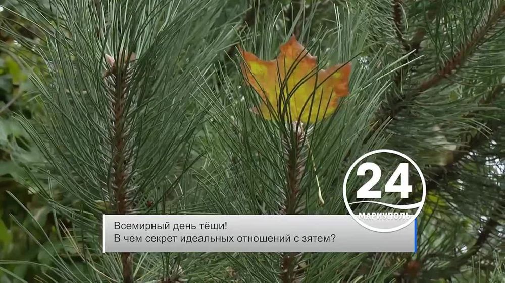������������� ���� ���! �������� ������ 22.10.2023