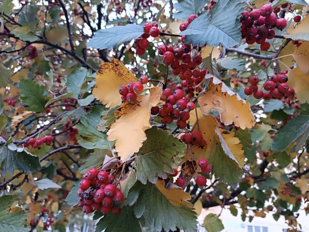 � ������ �����, ���������!