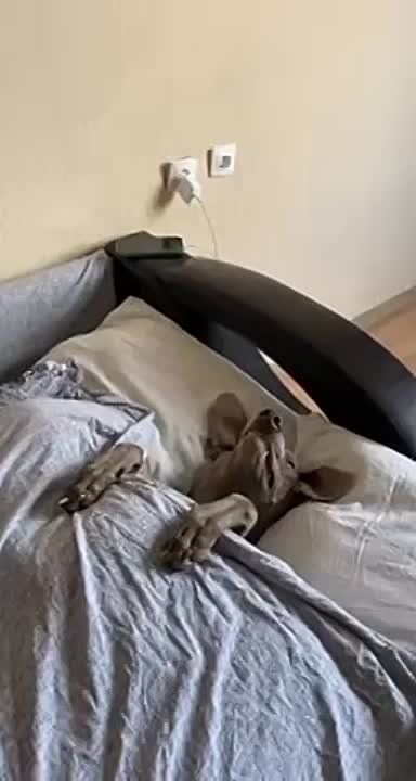 � ������ �����, ���������!