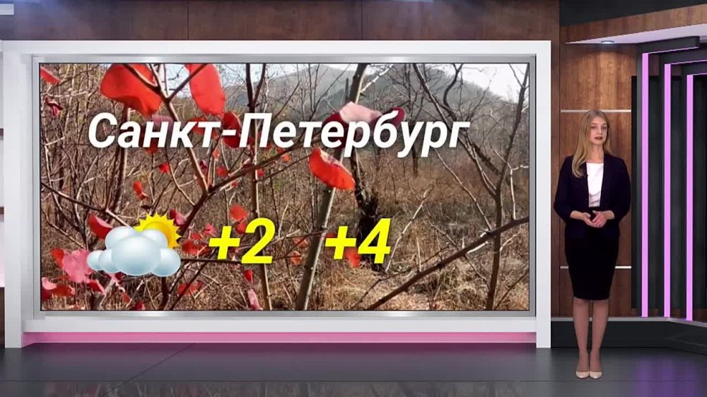 ������� ������ �� 08.11.2023