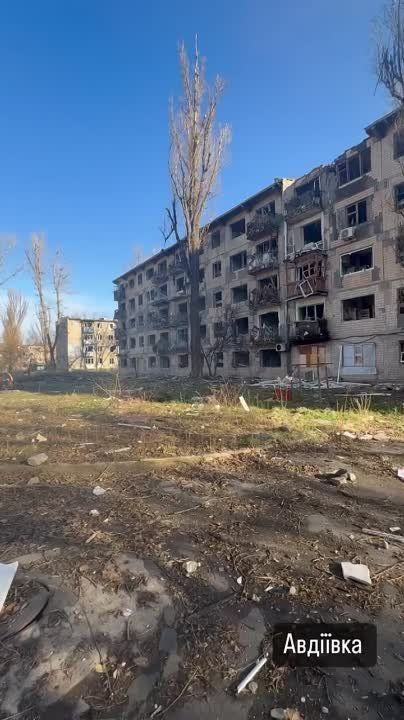 ����� �����: ���������� �����������