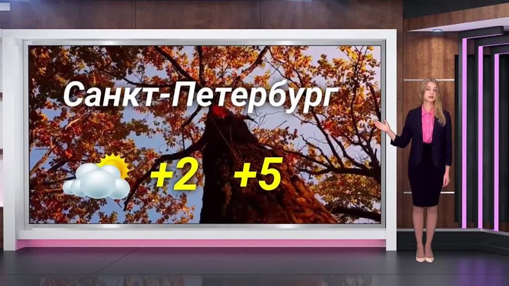 ������� ������ �� 11.11.2023