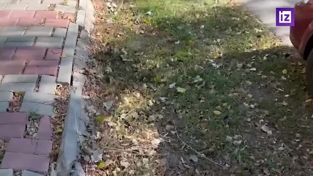 � ��� ��������� ��������, ������� ���������� ���������