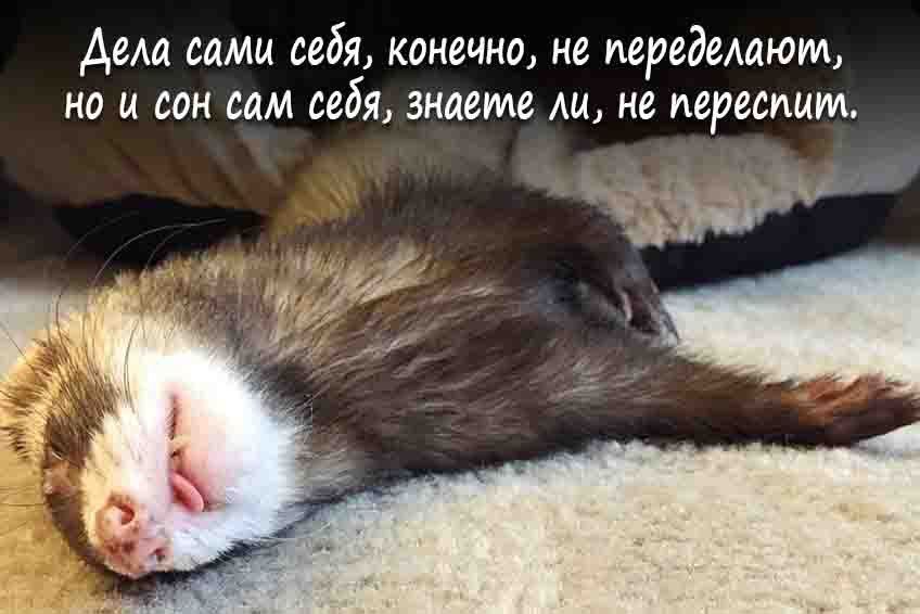 ������ ���� � ��������� ����, ���������!
