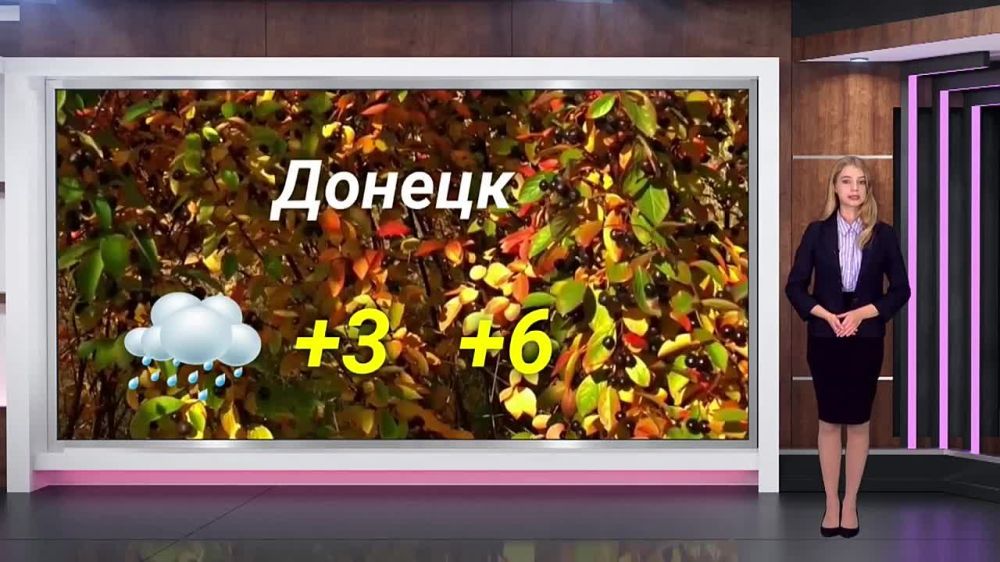 ������� ������ �� 17.11. 2023. ��������� ���������-24