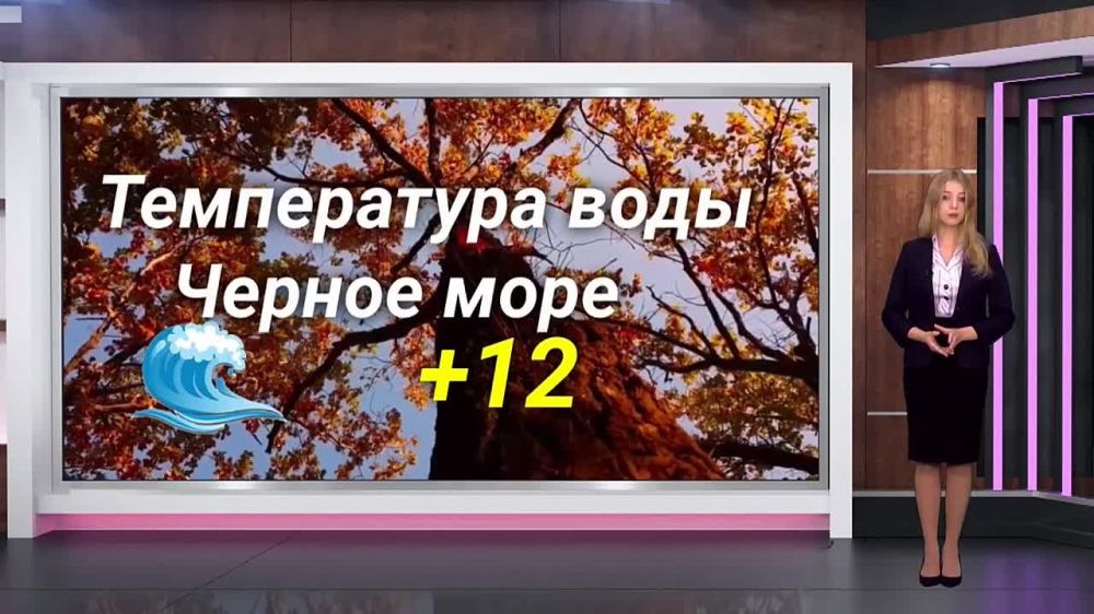 ������� ������ �� 18.11. 2023. ��������� ���������-24